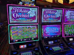 suntogel login esports betting platform interface suntogel login esports betting platform interface