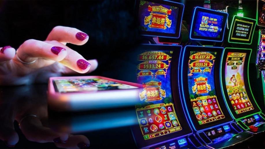 suntogel login account dashboard and features suntogel login account dashboard and features